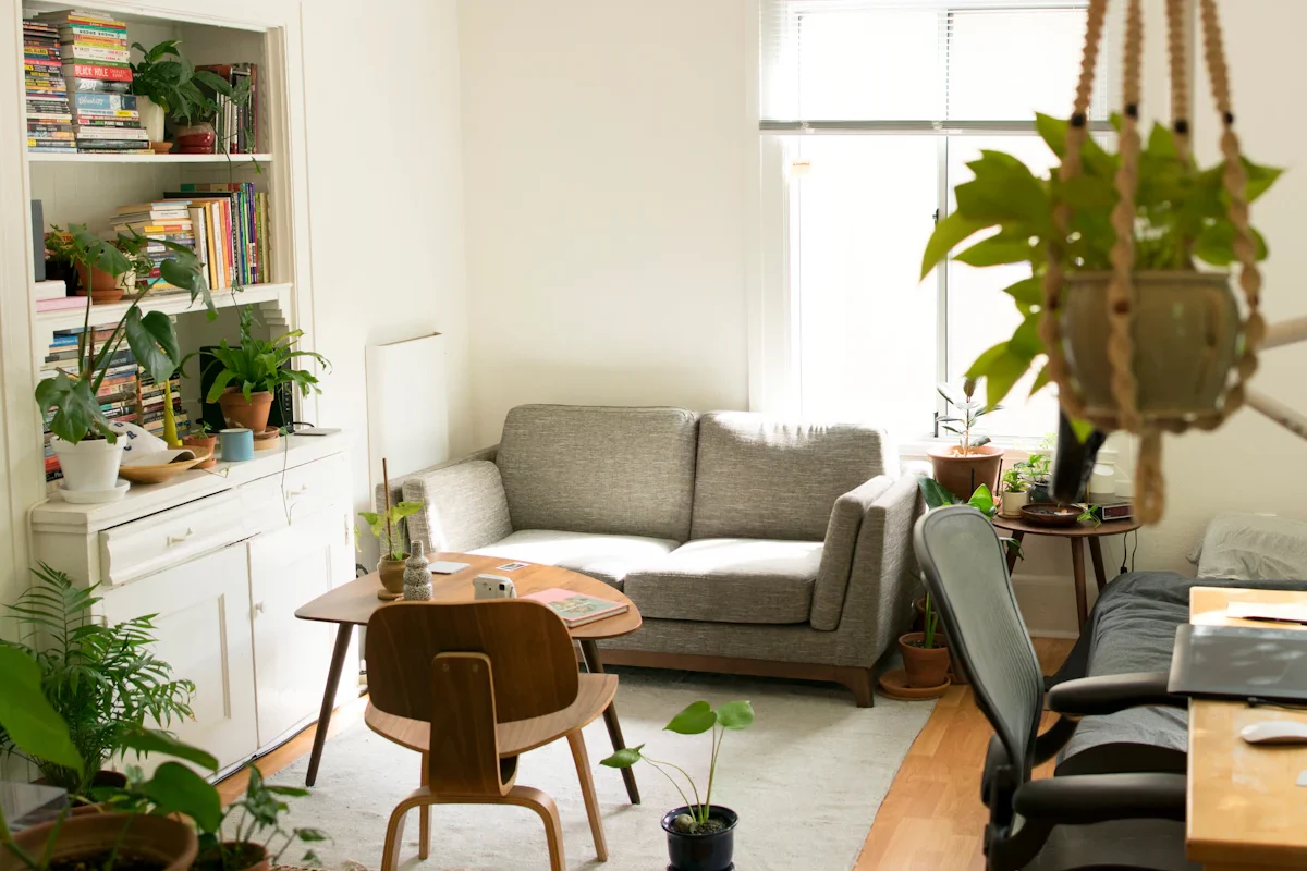 Tidy, comfortable living room with houseplants